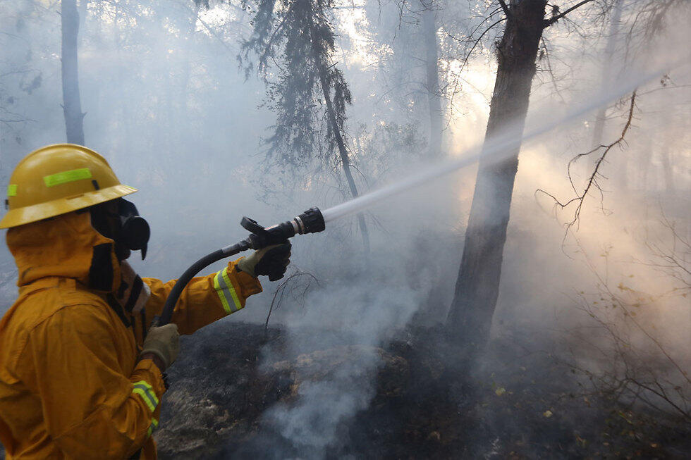 Firefighters in Neve Shalom (Photo: Gil Yohanan) (צילום: גיל יוחנן) Firefighters in Neve Shalom (Photo: Gil Yohanan)