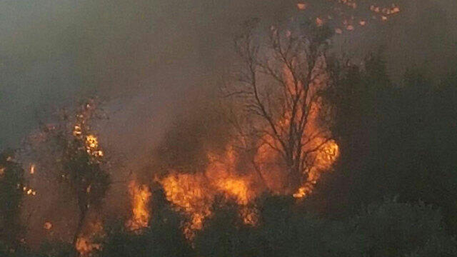 Fire raging in Zikhron (Photo: Eli Segal) (צילום: אלי סגל) Fire raging in Zikhron (Photo: Eli Segal)