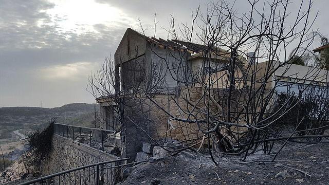 Fire damage in Zikhron (Photo: Ido Erez) (צילום: עידו ארז) Fire damage in Zikhron (Photo: Ido Erez)