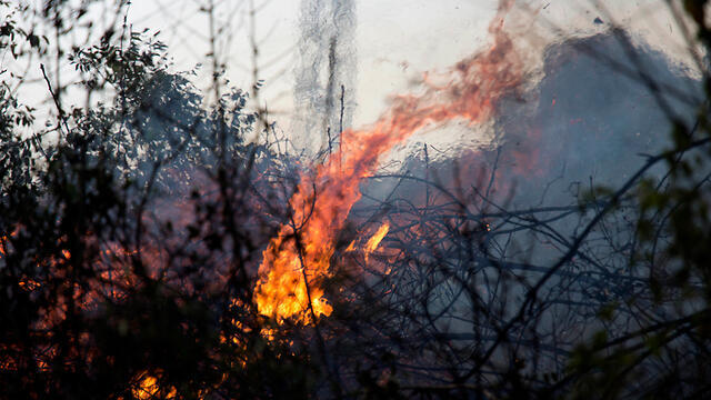 Fire in Zikhron Yaakov (Photo: AP) (צילום: AP) Fire in Zikhron Yaakov (Photo: AP)