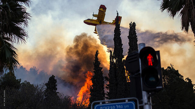 Fire in Haifa (Photo: Avi Ben Zaken)