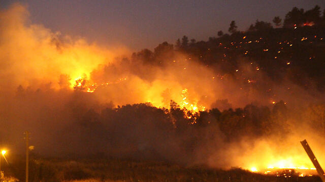 Fires overnight Thursday (Photo: Na'ama Hirsch) (צילום: נעמה הירש) Fires overnight Thursday (Photo: Na'ama Hirsch)