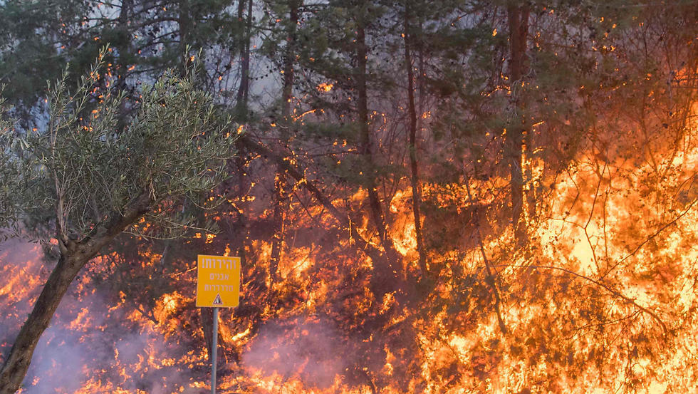 Green in Haifa tuned to black (Photo: AFP) (צילום: AFP) Green in Haifa tuned to black (Photo: AFP)