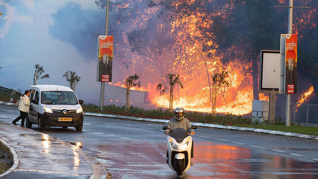 Fire in Haifa (Photo: AFP) (צילום: AFP) Fire in Haifa (Photo: AFP)