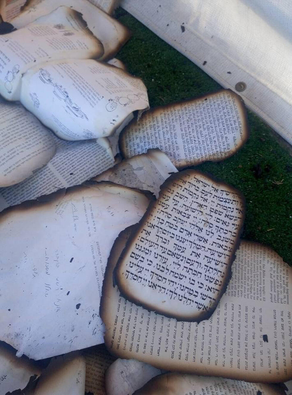 Burnt pages from the Synagogue (Photo: Rabbi Dovi Hiyon) (צילום: הרב דובי חיון) Burnt pages from the Synagogue (Photo: Rabbi Dovi Hiyon)
