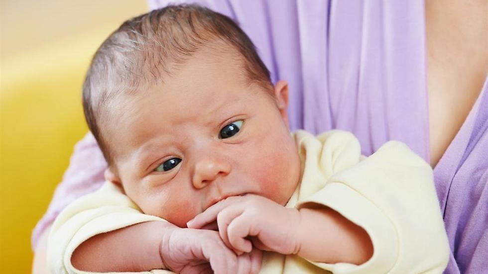 Фото: shutterstock