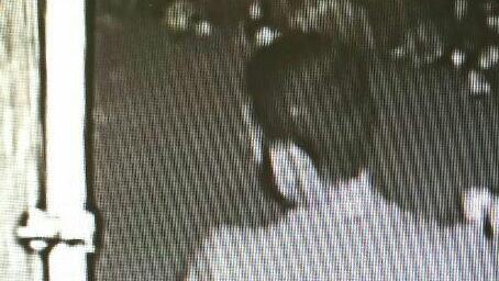 הבעל יוצא מהצימר עם אשתו מחוסרת ההכרה