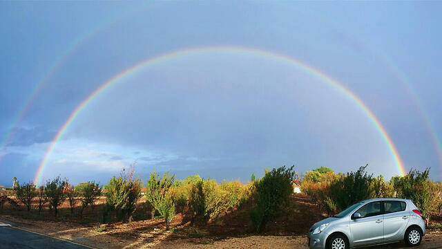 Rainbow in Yesod Hama'ale in the Hula Valley (Photo: Regev Sela) (צילום: רגב סלע) Rainbow in Yesod Hama'ale in the Hula Valley (Photo: Regev Sela)