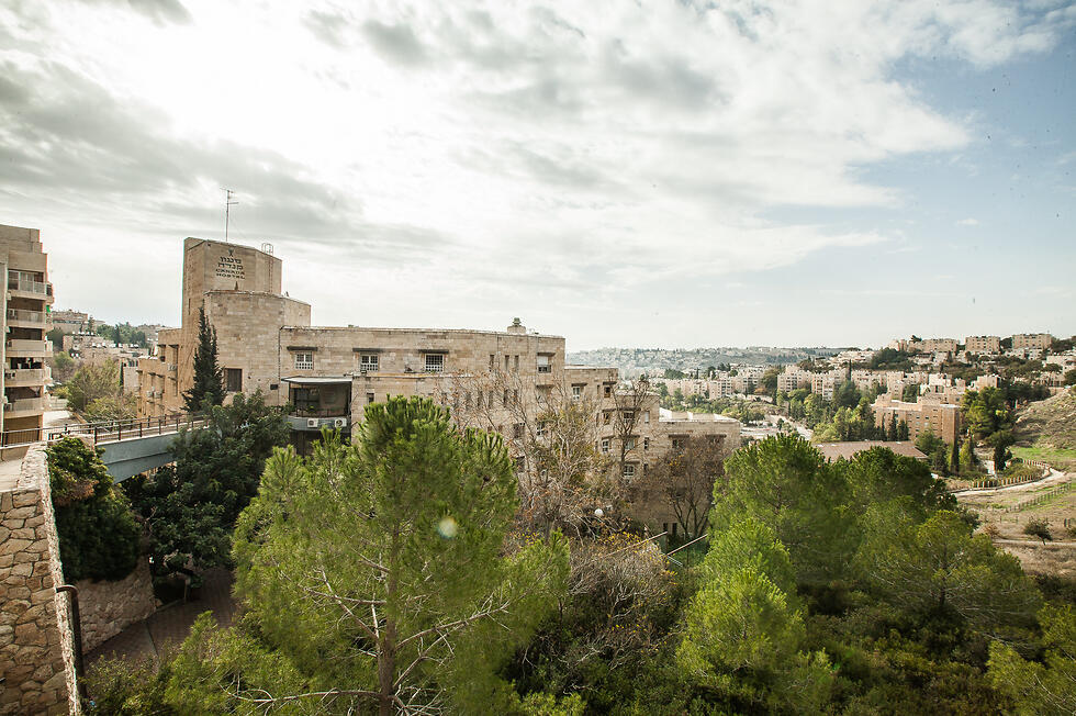 Фото: Даниэль Элиор
