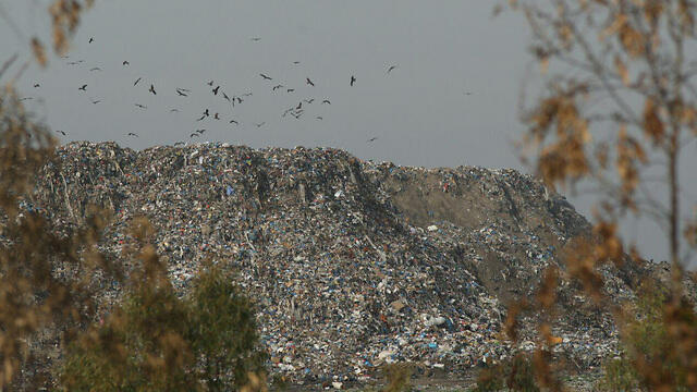 A landfill site in the Gaza Strip (Photo: Roee Idan) 