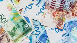 Фото: shutterstock