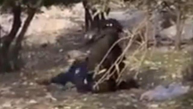 The first soldier reaches Al-Amournullnull The first soldier reaches Al-Amour