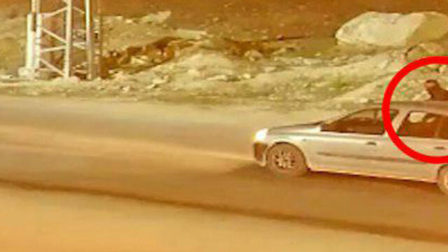 Photo: IDF Spokesperson's Unit