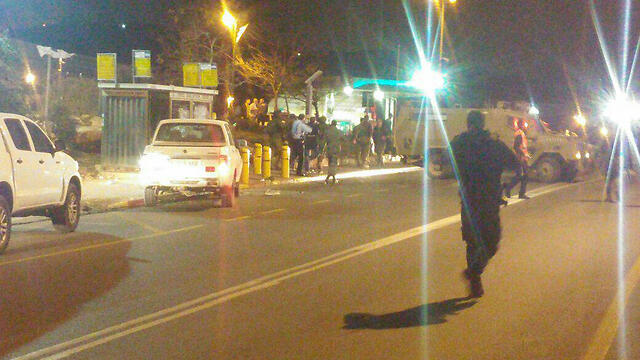 Photo: Elazar Israeli (צילום: אלעזר ישראלי) Photo: Elazar Israeli