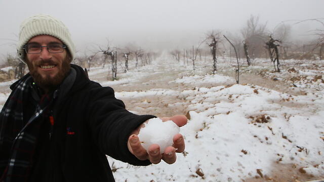 Walking through Gush Etzion (Photo: Eitan Elhadaz)