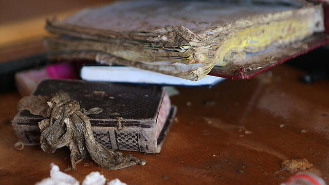 Photo: Alex Kolomoisky