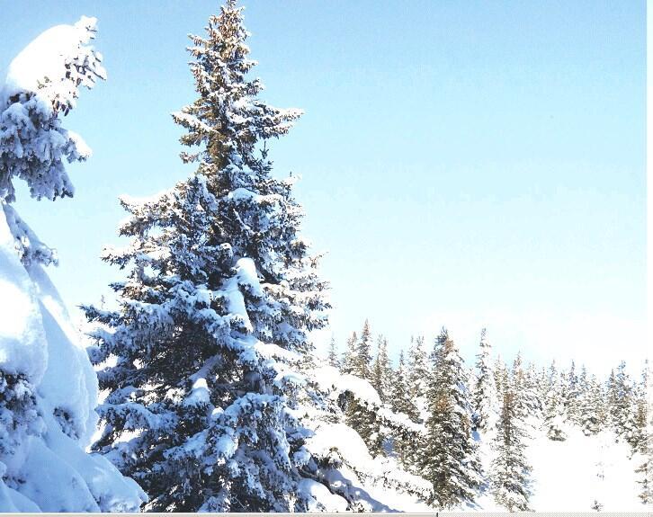 Зима на Урале (Фото: Р. Бадыков) Зима на Урале