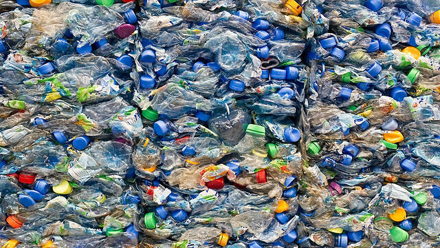 Фото: shutterstock (צילום: shutterstock) Фото: shutterstock