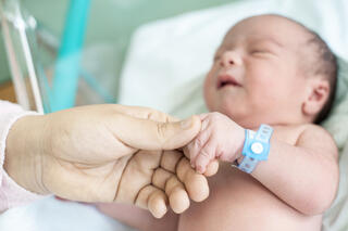 Фото: shutterstock