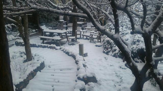Snow in Golan Heights Golan Heights (Photo: Lilach Ashter) (צילום: לילך אשתר) Snow in Golan Heights Golan Heights (Photo: Lilach Ashter)
