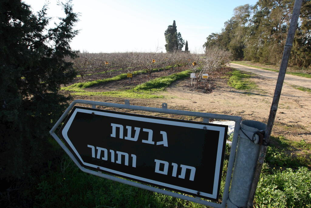 Гади Кабало