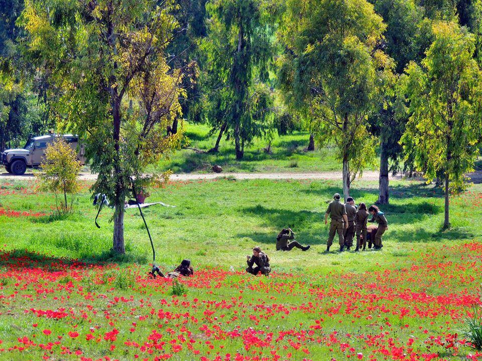 Михаль и Маша Дубинские