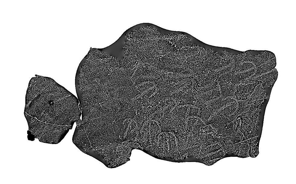 Наскальный рисунок