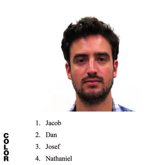 Карточка для опыта. Фото: Еврейский университет (Фото: Еврейский университет) Карточка для опыта. Фото: Еврейский университет