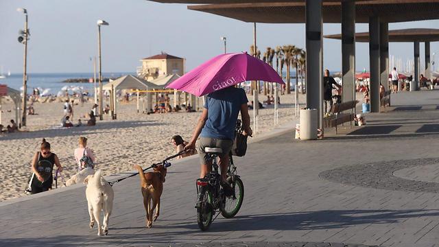 Фото: Моти Кимхи (צילום: מוטי קמחי) Фото: Моти Кимхи