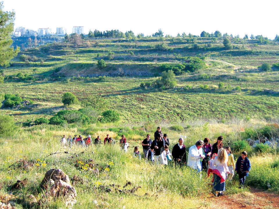 На снимке: туристы на прогулке в Иудейских горах Фото: Амир Балабан (Фото: Амир Балабан) На снимке: туристы на прогулке в Иудейских горах Фото: Амир Балабан