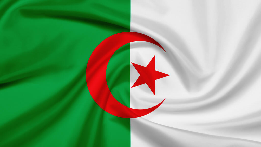 Algerian flag 
