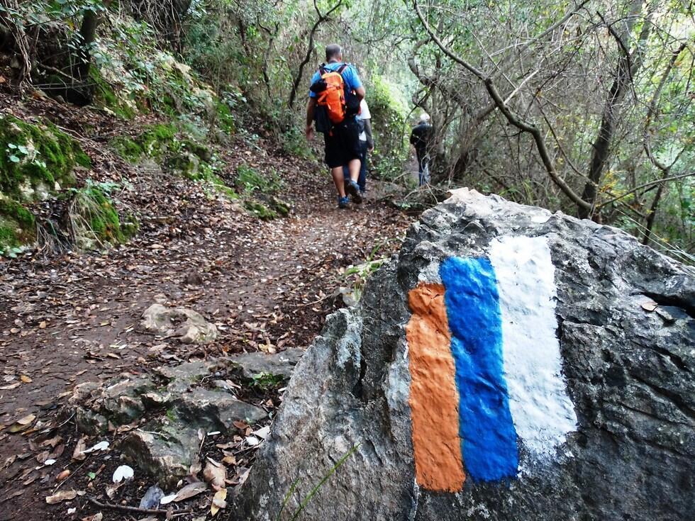 Израильская тропа. Фото: Дов Гринблат (צילום: דב גרינבלט) Израильская тропа. Фото: Дов Гринблат