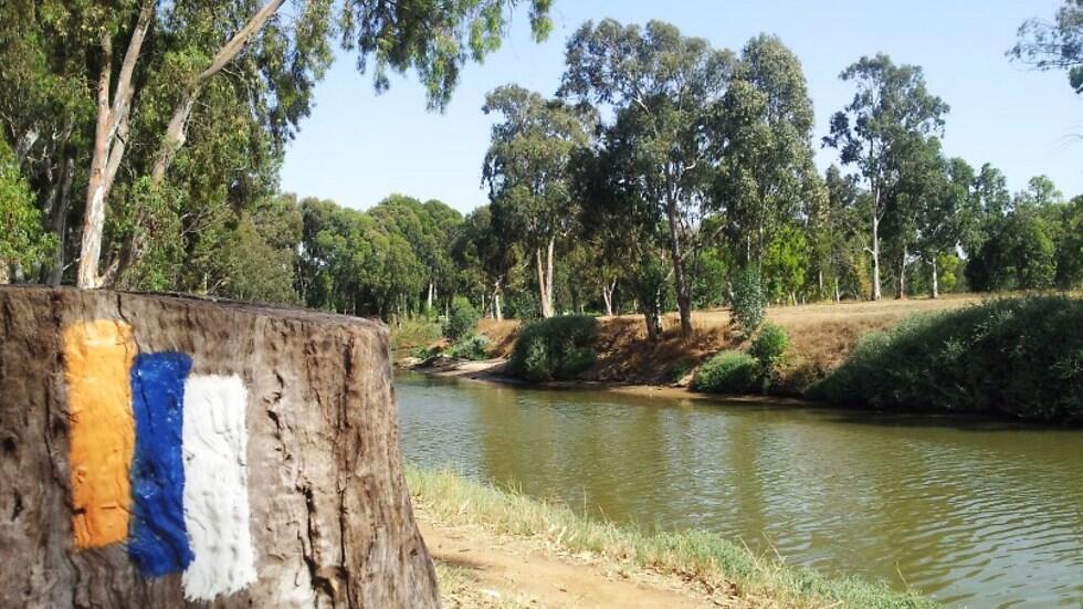 Израильская тропа, парк Ха-Яркон. Фото: Дов Гринблат (צילום: דב גרינבלט) Израильская тропа, парк Ха-Яркон. Фото: Дов Гринблат