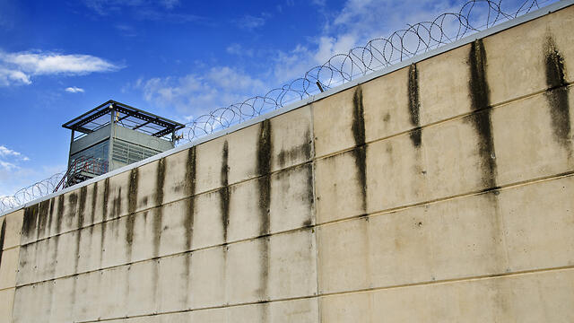 Иллюстрация: shutterstock