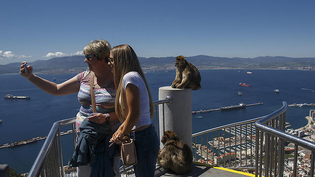 Туристы. Фото: gettyimages (צילום: gettyimages) Туристы. Фото: gettyimages