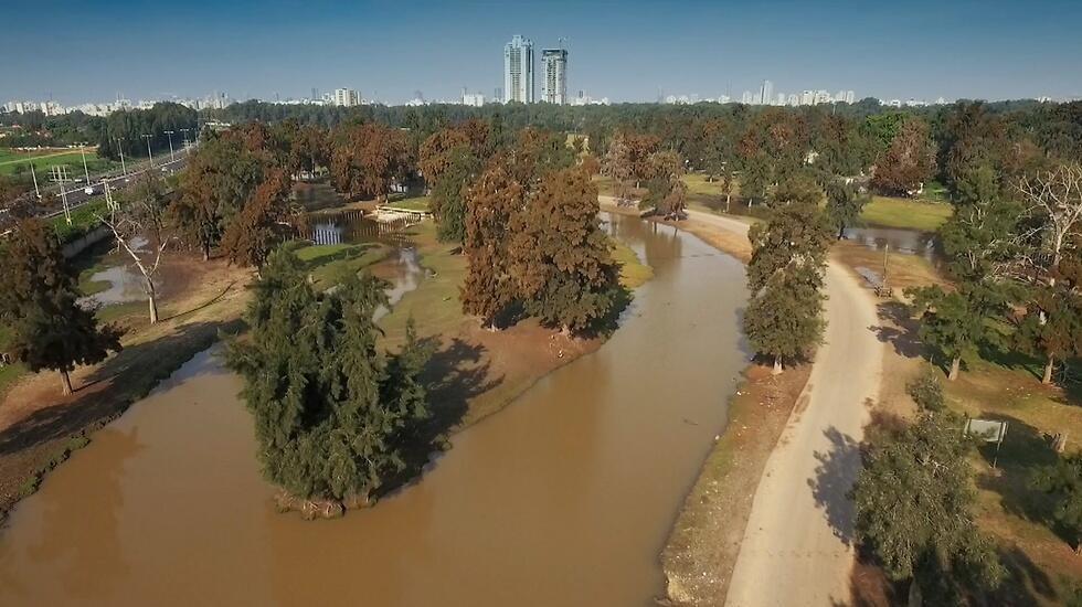 "Сафари" в Рамат-Гане. Фото: Эли Мандельбаум (צילום: אלי מנדלבאום) "Сафари" в Рамат-Гане. Фото: Эли Мандельбаум