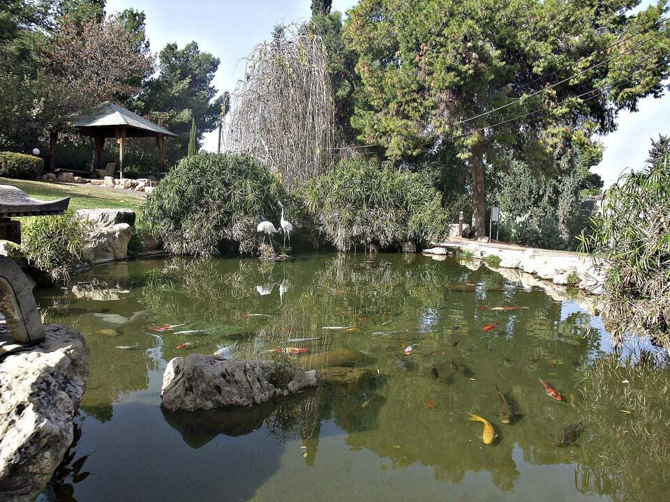 Японский сад в кибуце Хефциба.Фото: Леон Левитас (Фото: Леон Левитас) Японский сад в кибуце Хефциба.Фото: Леон Левитас