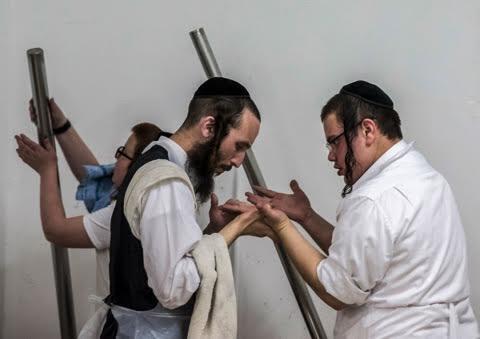 Фото: Макс Шамота