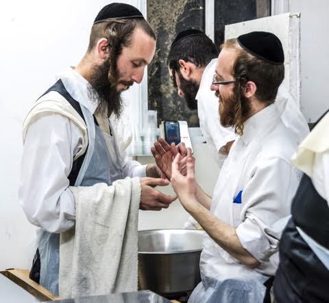 Фото: Макс Шамота