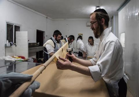 Фото: Макс Шамота