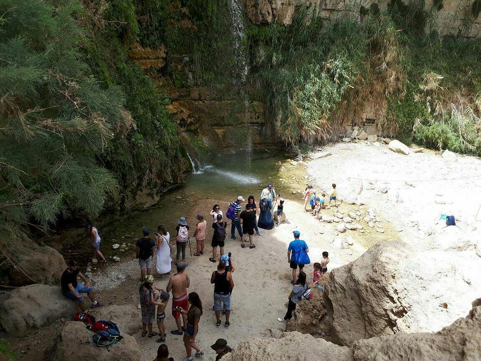 Туристы в Эйн-Геди. Фото: Управление заповедников и национальных парков