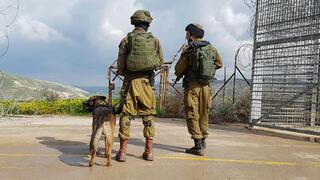 IDF forces on the northern border 