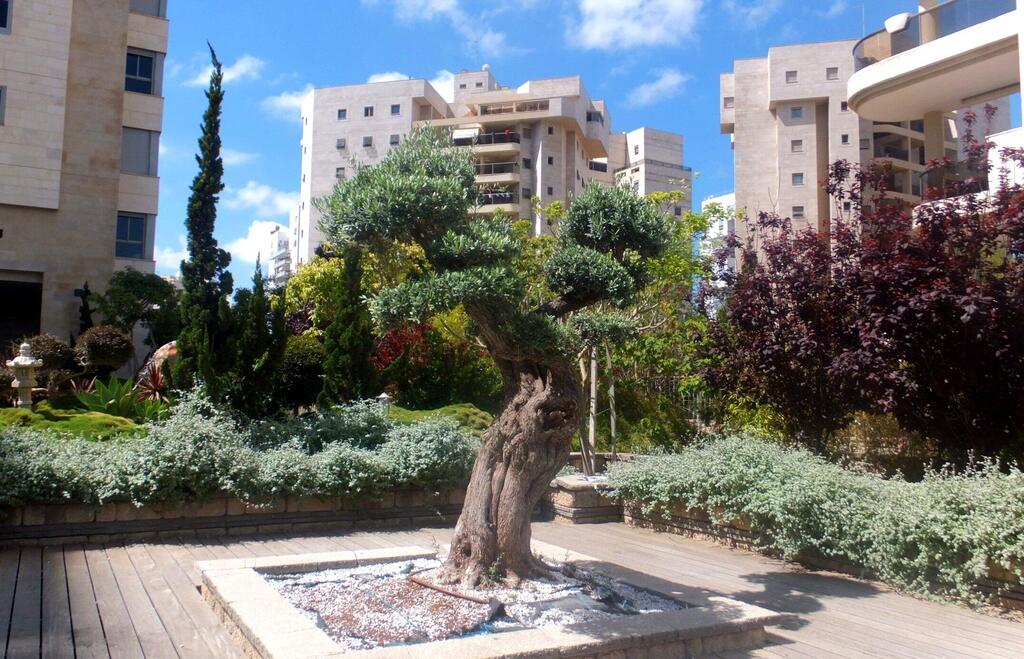 Леон Левитас