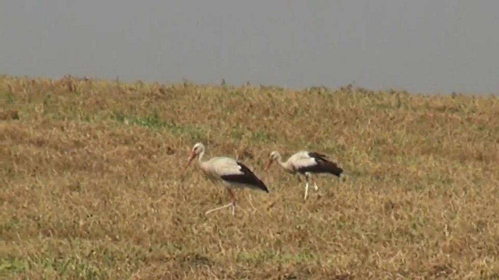 Photo: Barel Ephraim