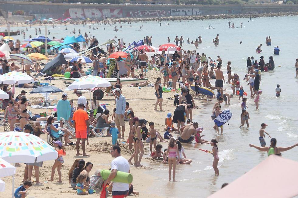 Пляж в Тель-Авиве. Фото: Моти Кимхи (צילום: מוטי קמחי) Пляж в Тель-Авиве. Фото: Моти Кимхи