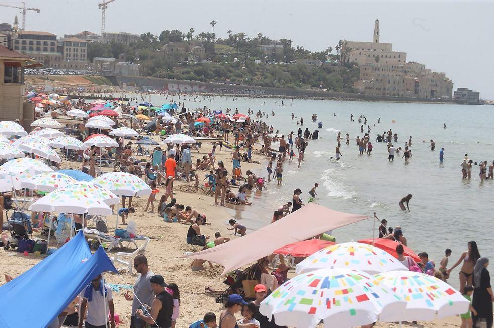 Tel Aviv beaches (Photo: Motti Kimchi)