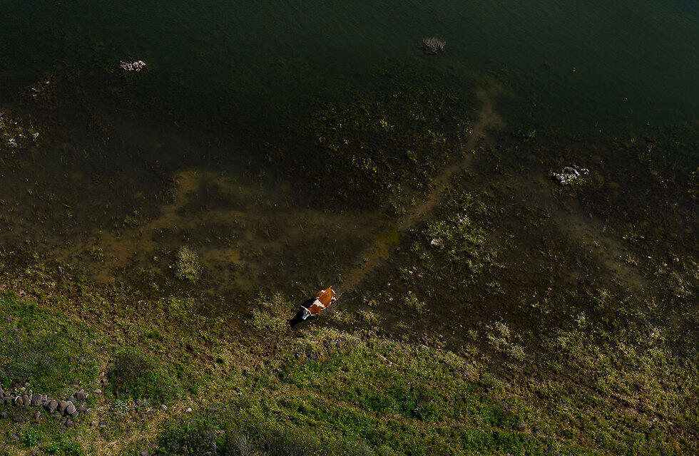 Голанские высоты и ручей Эльаль (צילום: ישראל ברדוגו) Голанские высоты и ручей Эльаль