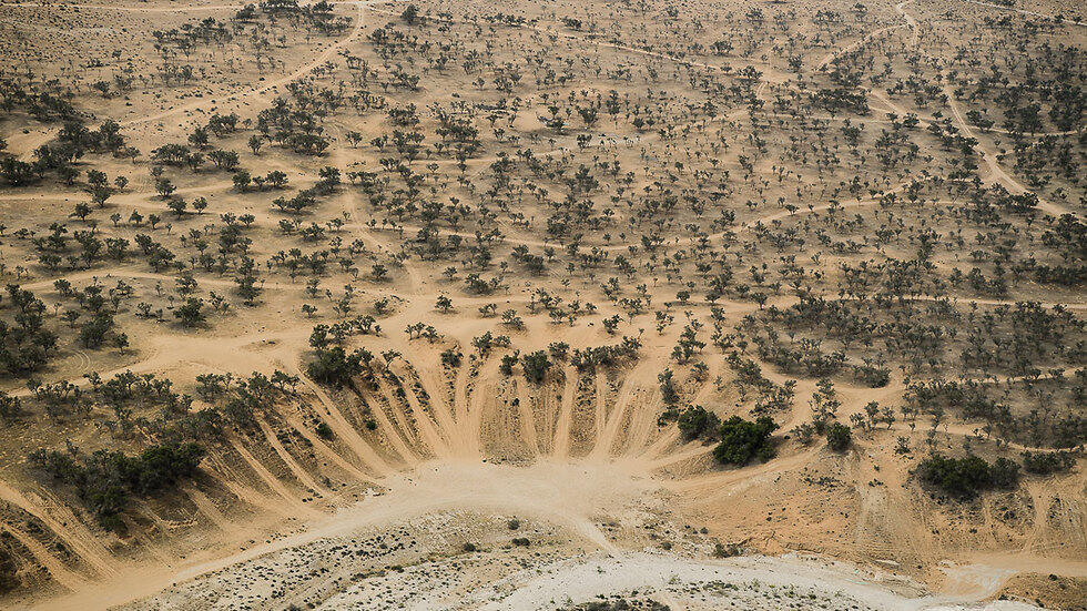 צילום: ישראל ברדוגו
