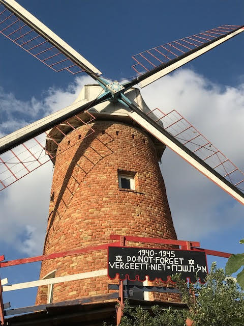 Фото: Шауль Агам