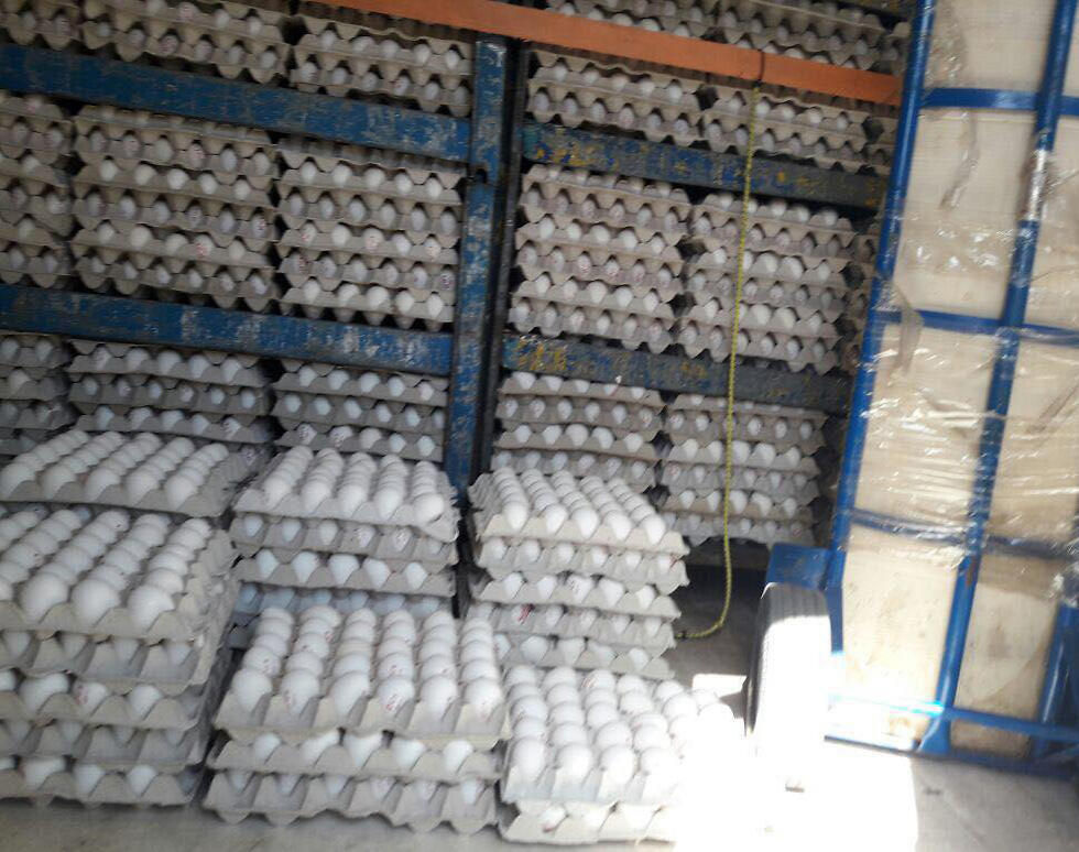 Фото: пресс-служба полиции (архив) (צילום: דוברות המשטרה) Фото: пресс-служба полиции (архив)